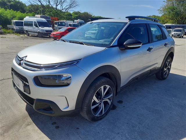 LOTE 045 C4 CACTUS SHINE T 2020/2020 