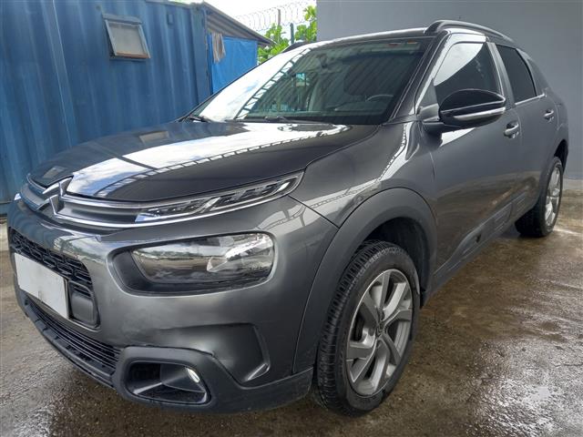 LOTE 048 C4 CACTUS FEEL AT 2021/2022 